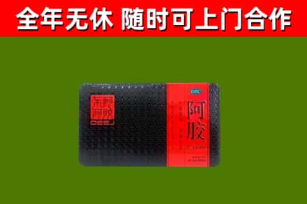 西陵回收阿胶